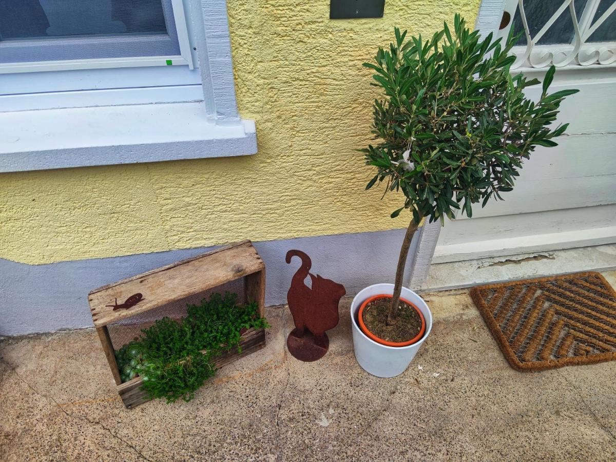 Apartment Jette Stegen Exterior photo
